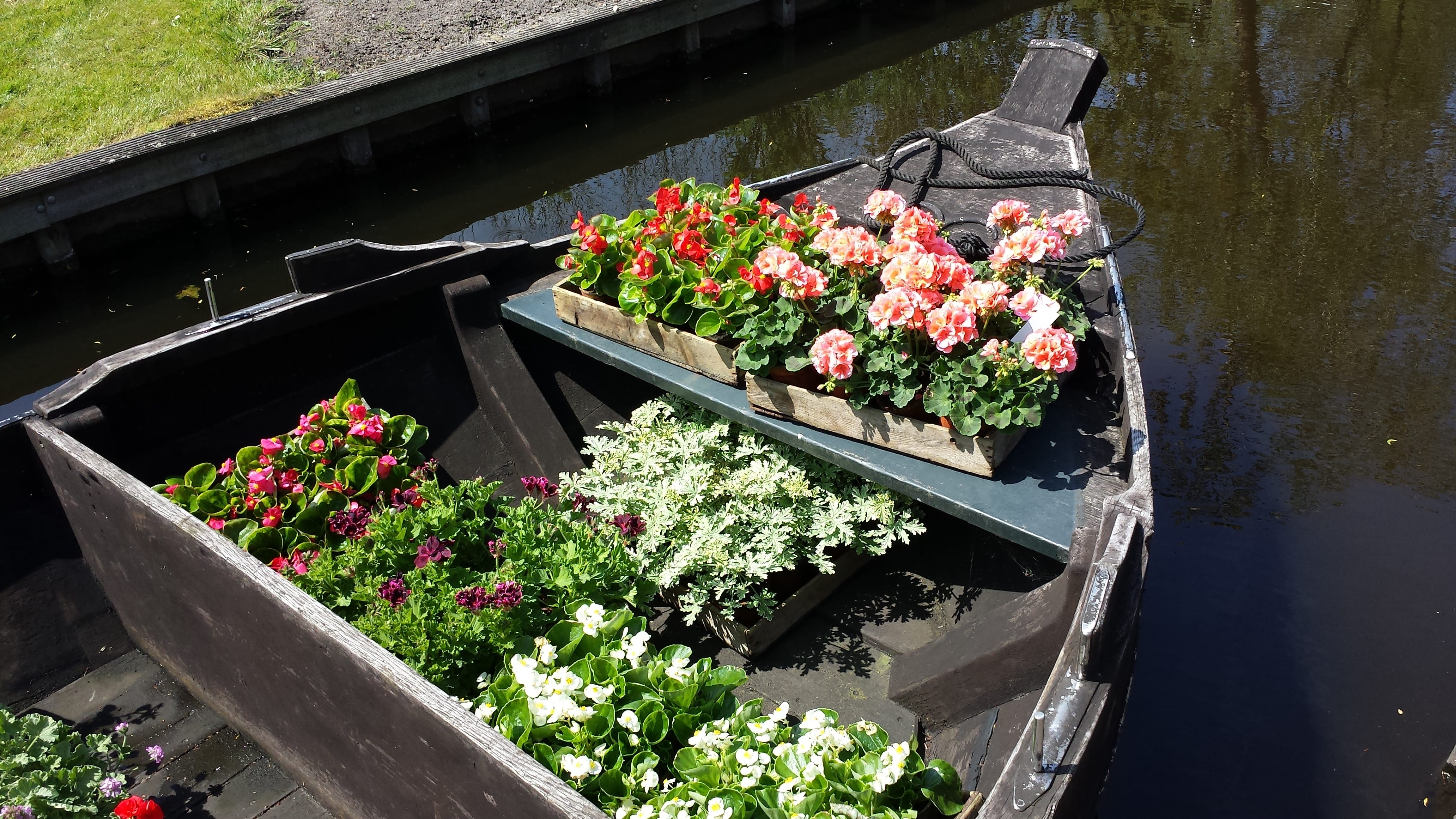 Expositie in Historische Tuin Nieuwe Meerbode