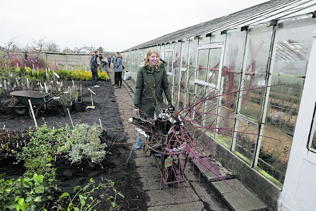 Verkoopdag Historische Tuin goed bezocht Nieuwe Meerbode