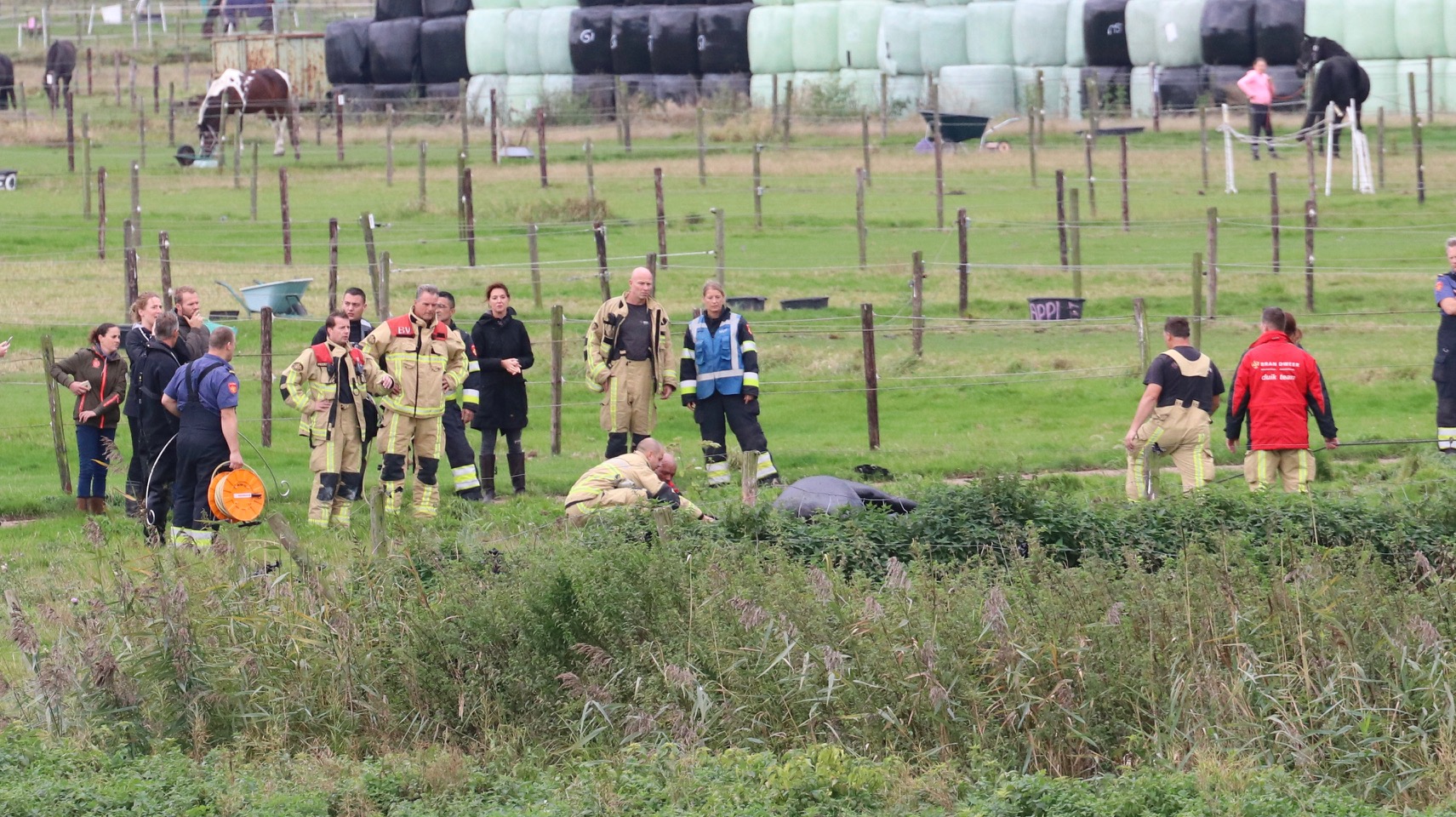 Brandweer Haalt Paard Uit De Sloot - Nieuwe Meerbode